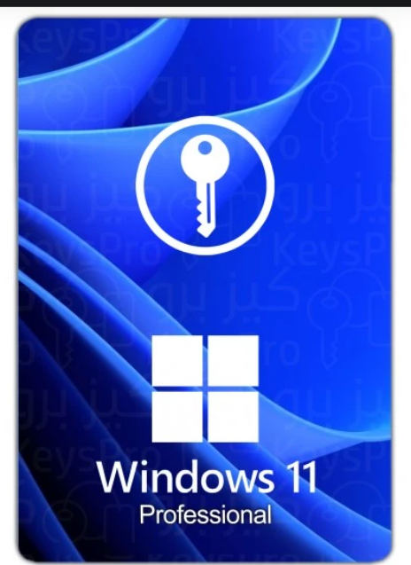 ويندوز 11 برو
